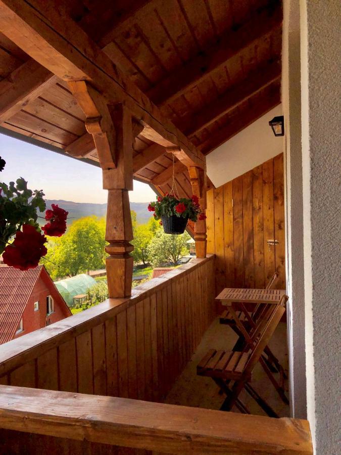 Pensiunea Roca Maramures Deseşti Exterior foto