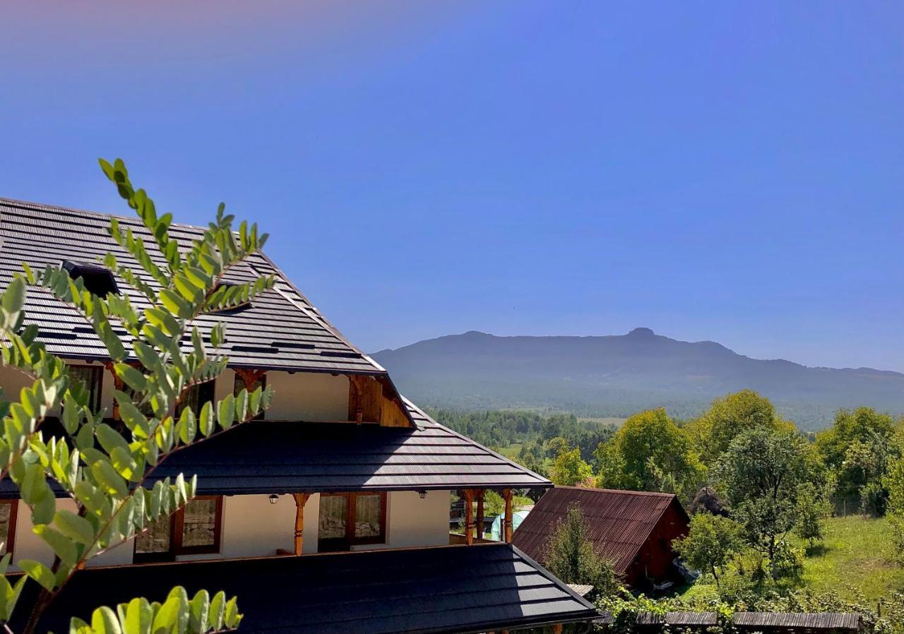 Pensiunea Roca Maramures Deseşti Exterior foto