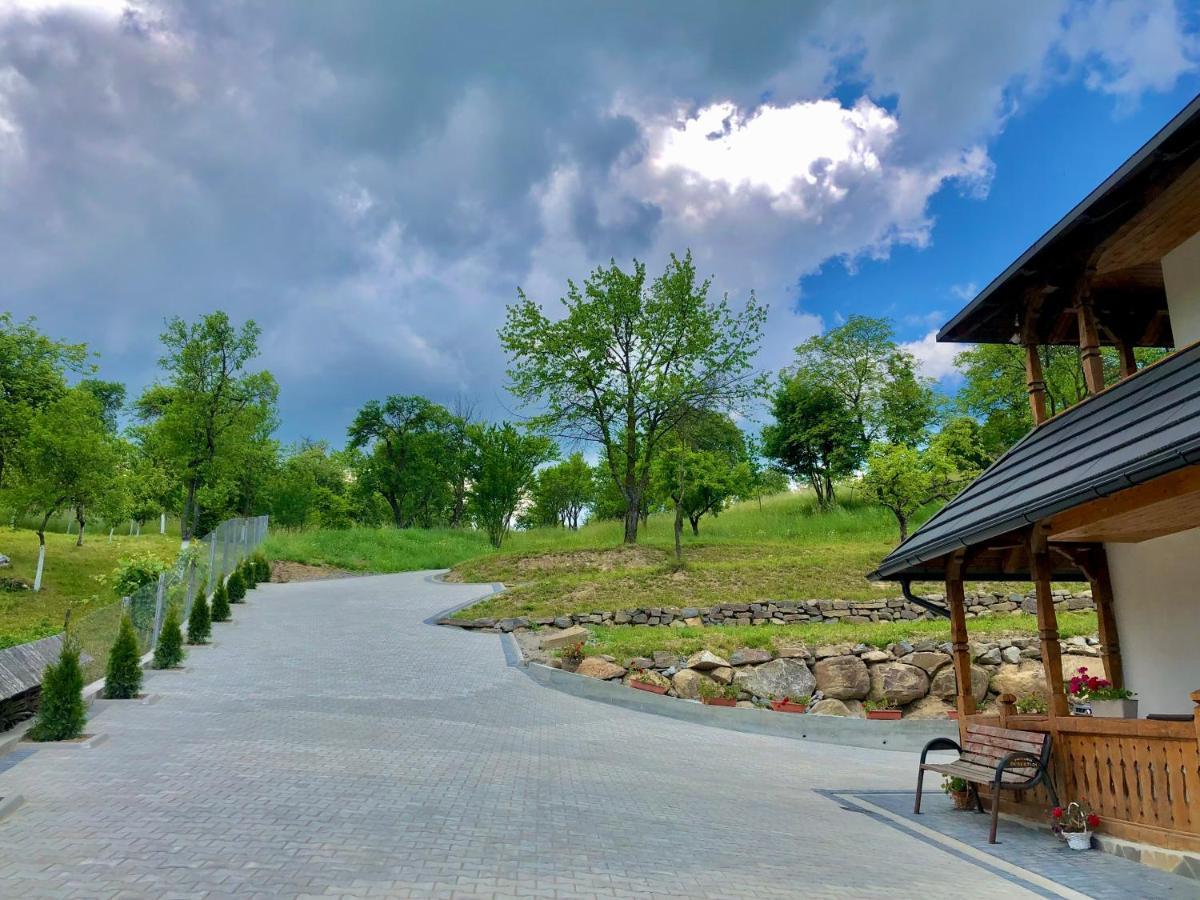 Pensiunea Roca Maramures Deseşti Exterior foto